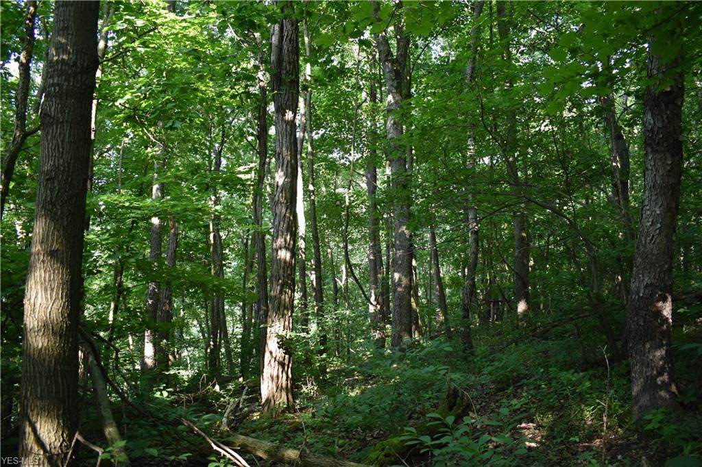 State Rd 39 - Photo 1