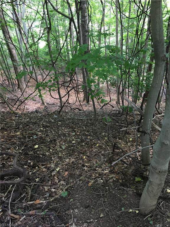 9257 Chillicothe Road - Photo 1