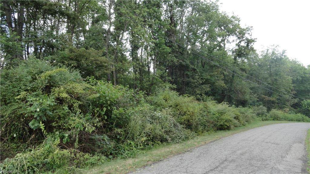 TBD Annapolis Drive - Photo 1
