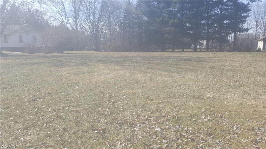 Avon Belden Road - Photo 1