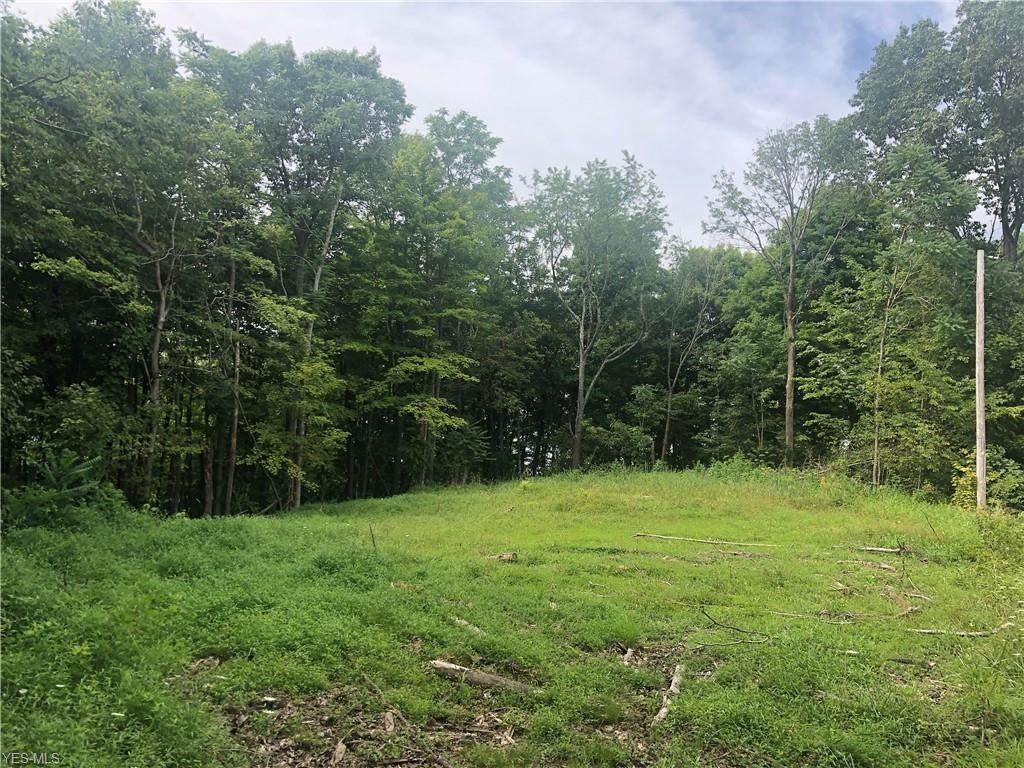 Baker Ridge Rd - Photo 1