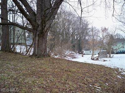 Walnut Road - Photo 1