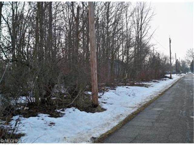 231 Meadowbrook Avenue - Photo 1