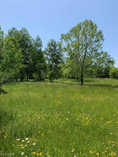 VL Chagrin River Road - Photo 1
