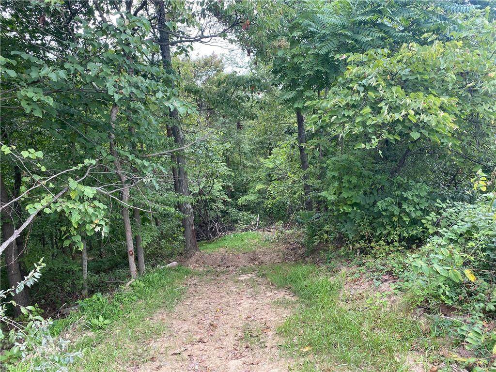 38650 B Pumpkin Vine Ridge - Photo 1