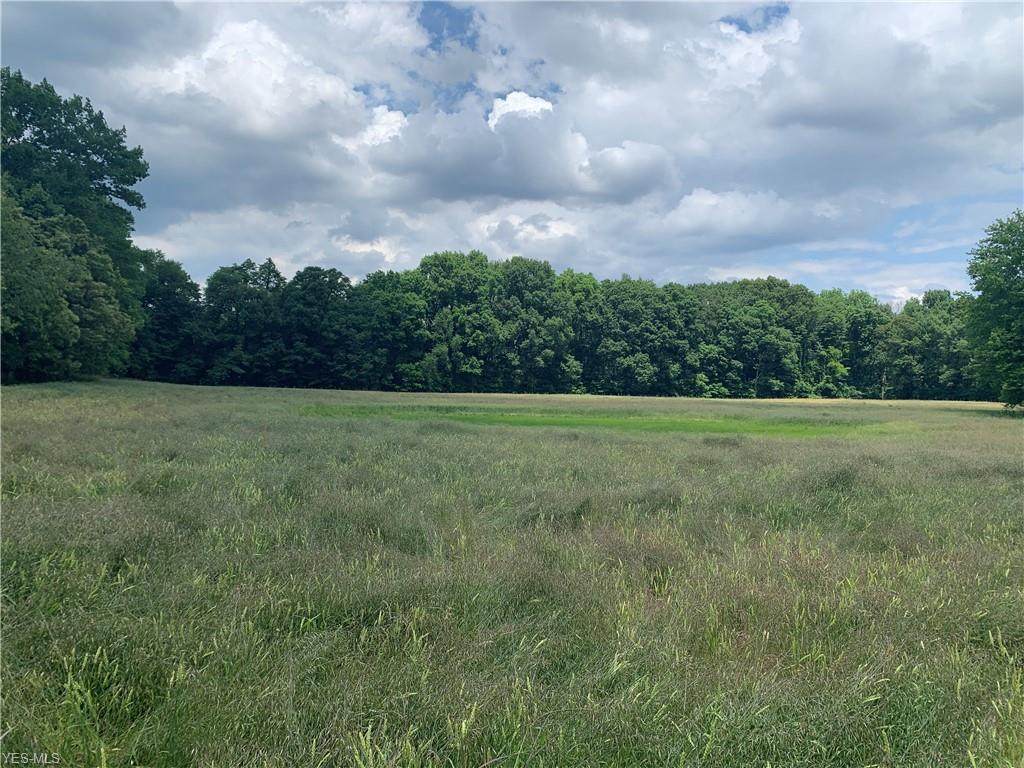 15.5 Acres Strausser Street - Photo 1