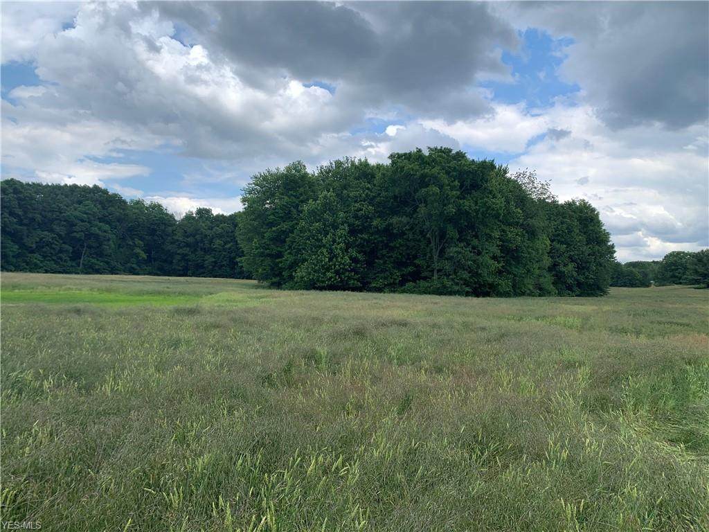 12 Acres Arlington Street - Photo 1
