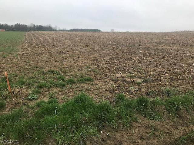 Smith Goshen Road - Photo 1