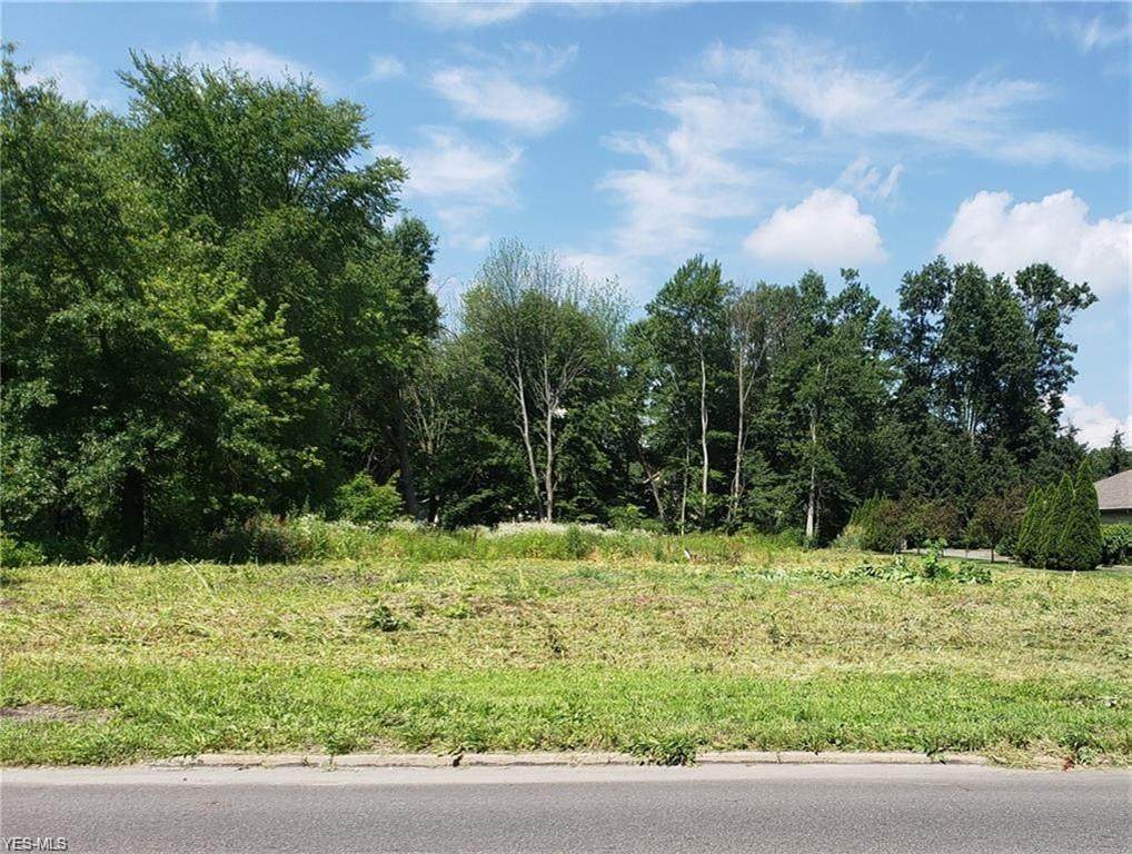Raccoon Road - Photo 1