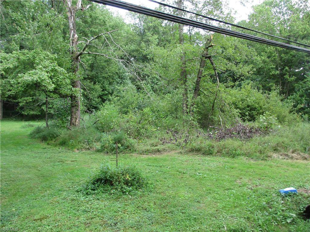 118 Dana's Run Road - Photo 1