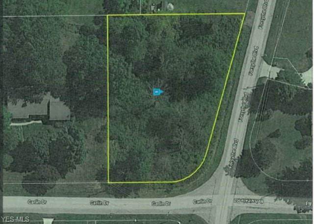 Carlin Drive - Photo 1