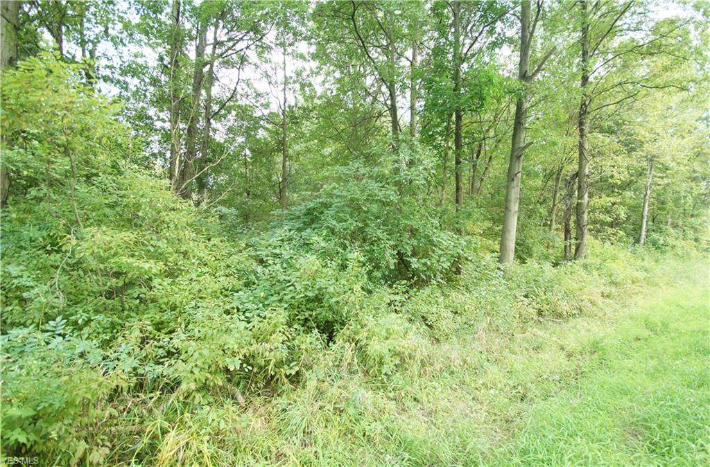 537 Homestead Avenue - Photo 1