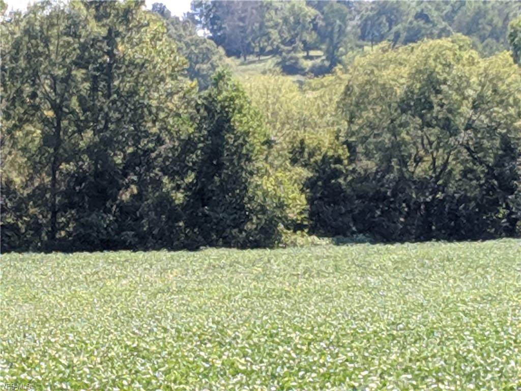 Tract 4 Eyermann Road - Photo 1