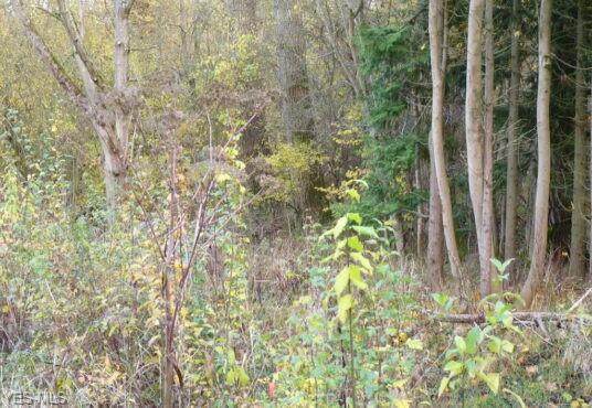 Lot 4 Ridge Road - Photo 1