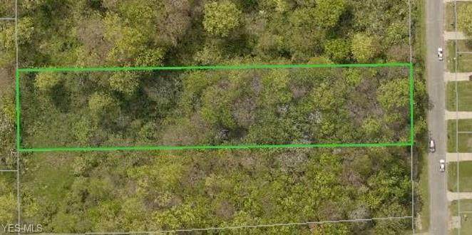 1.25 Acres Cloverdale Drive - Photo 1