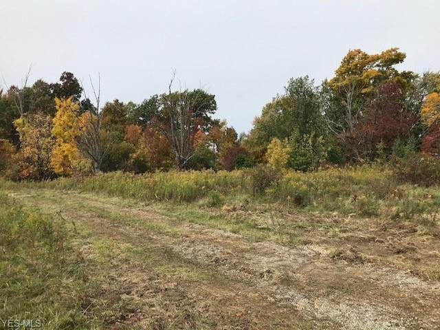 V/L 18848 Pearl Road - Photo 1