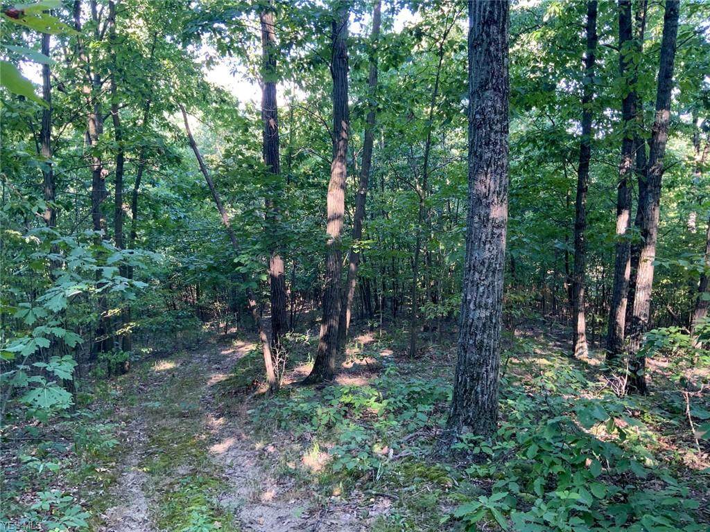 5140 Cobbler Road - Photo 1