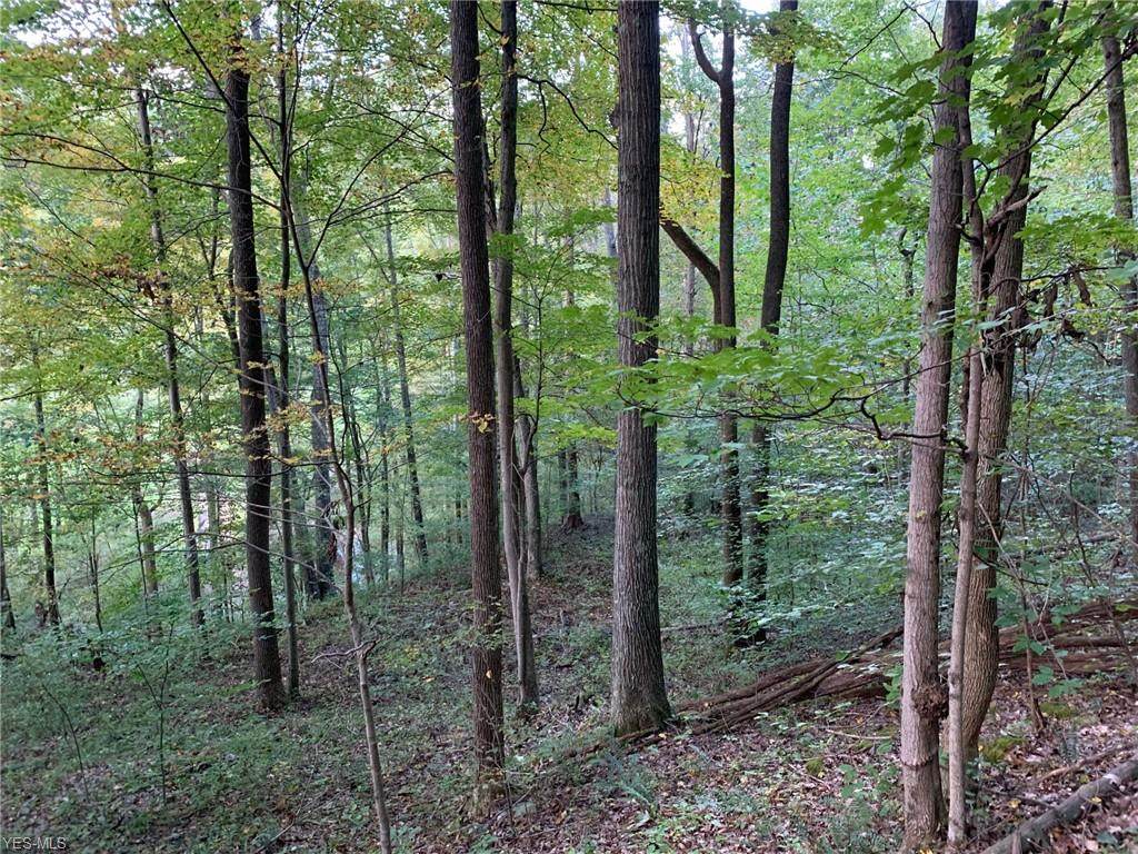 Garfield Road - Photo 1