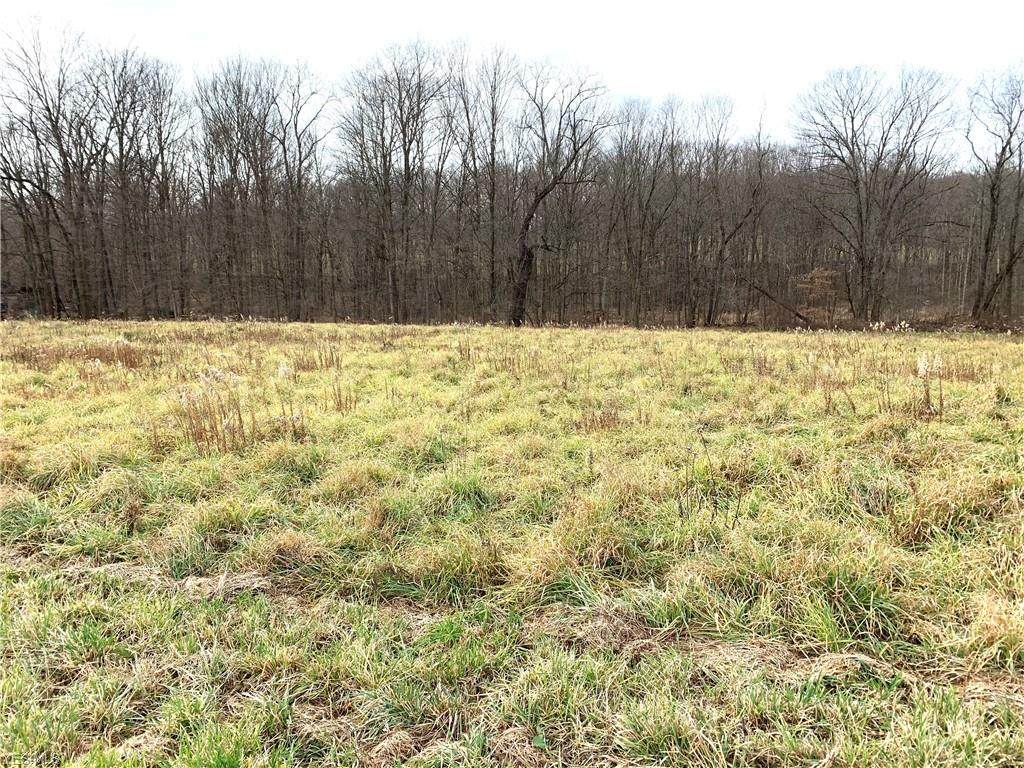 Lower Elkton Road - Photo 1