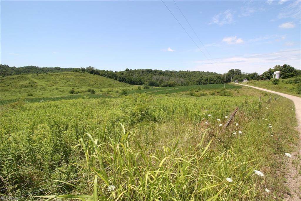 0 Perine-3C Road - Photo 1
