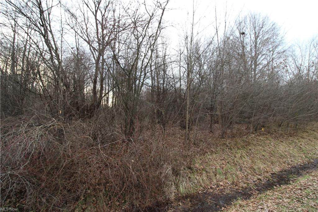 00 Chaffee Drive - Photo 1