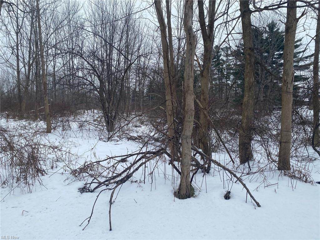 Chillicothe Road - Photo 1