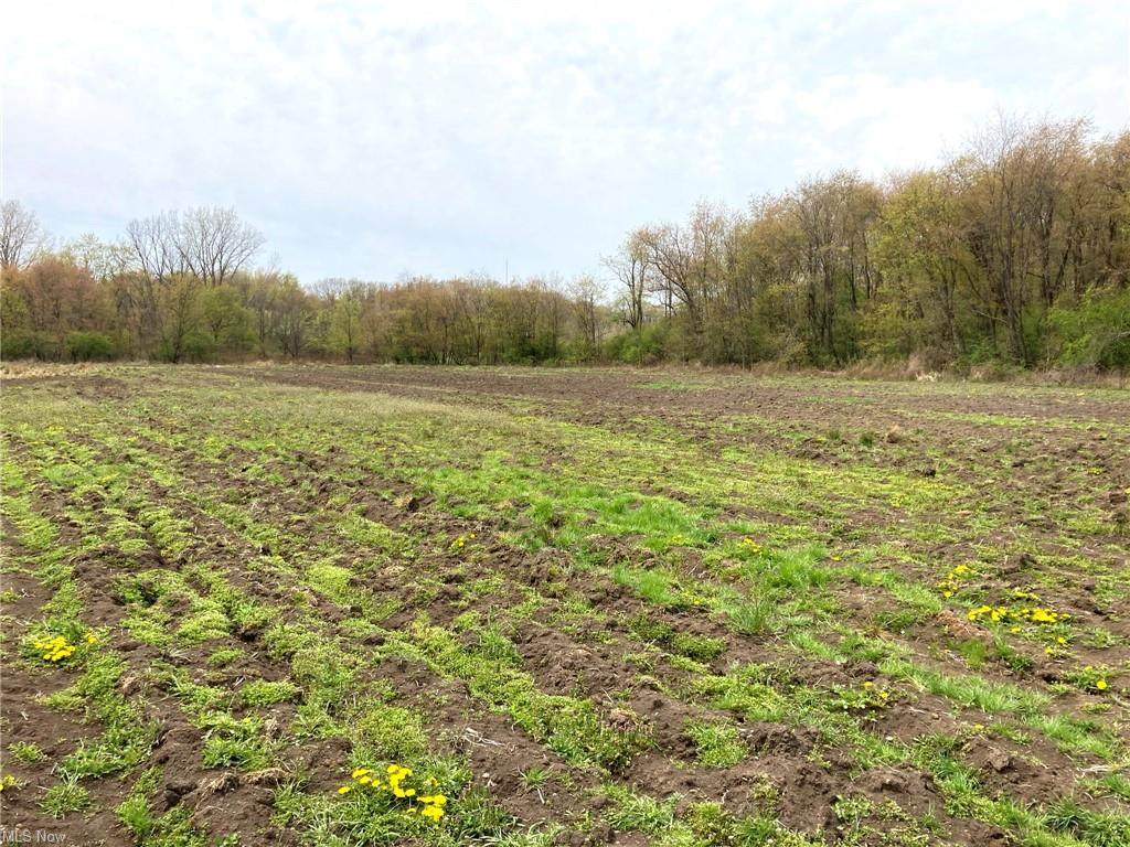 Schocalog Road - Photo 1