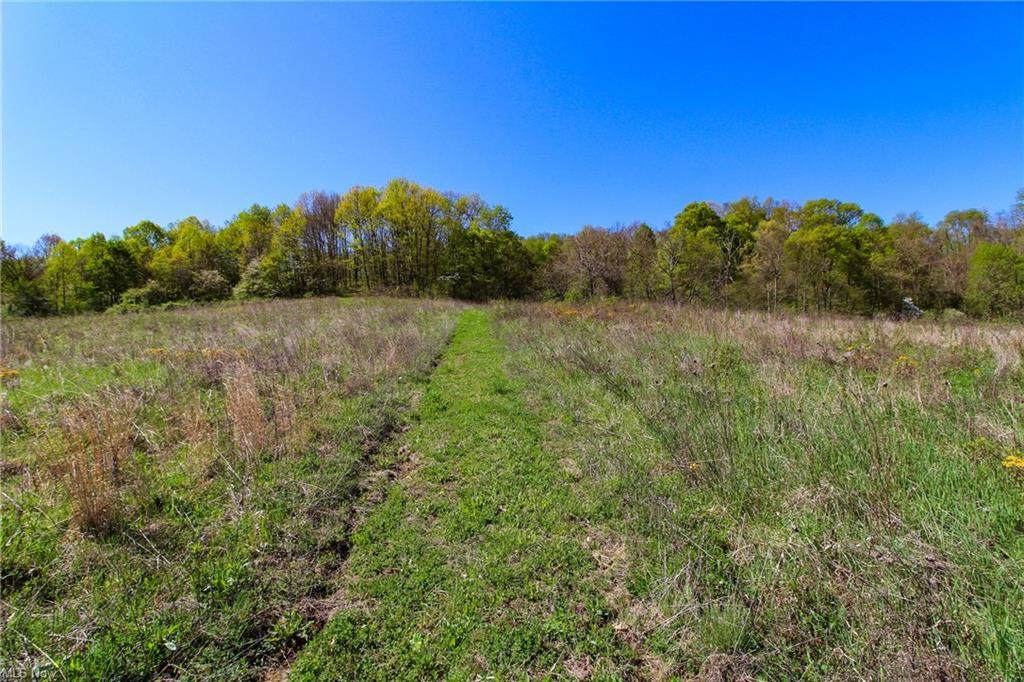 Windy Ridge Road - Photo 1