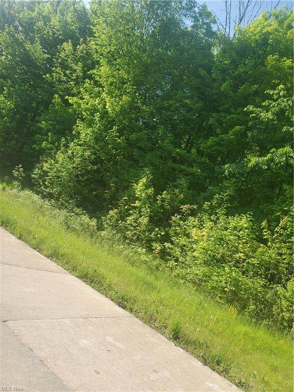 Wilhite Drive - Photo 1