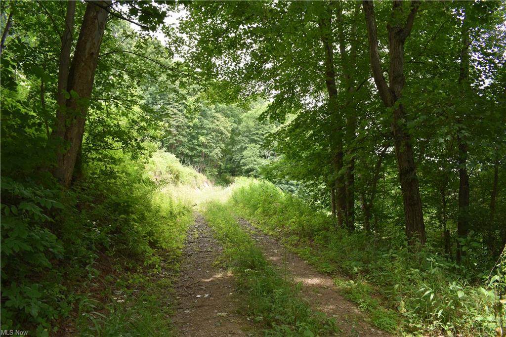 14213 Cannons Mill Road - Photo 1
