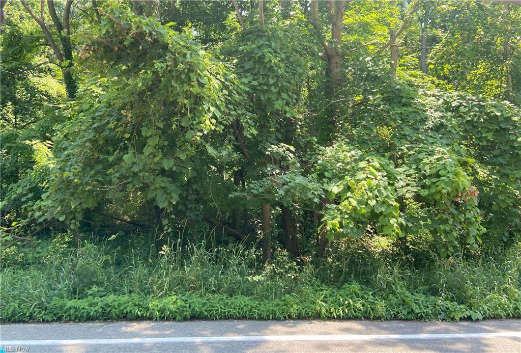Bradley Road - Photo 1