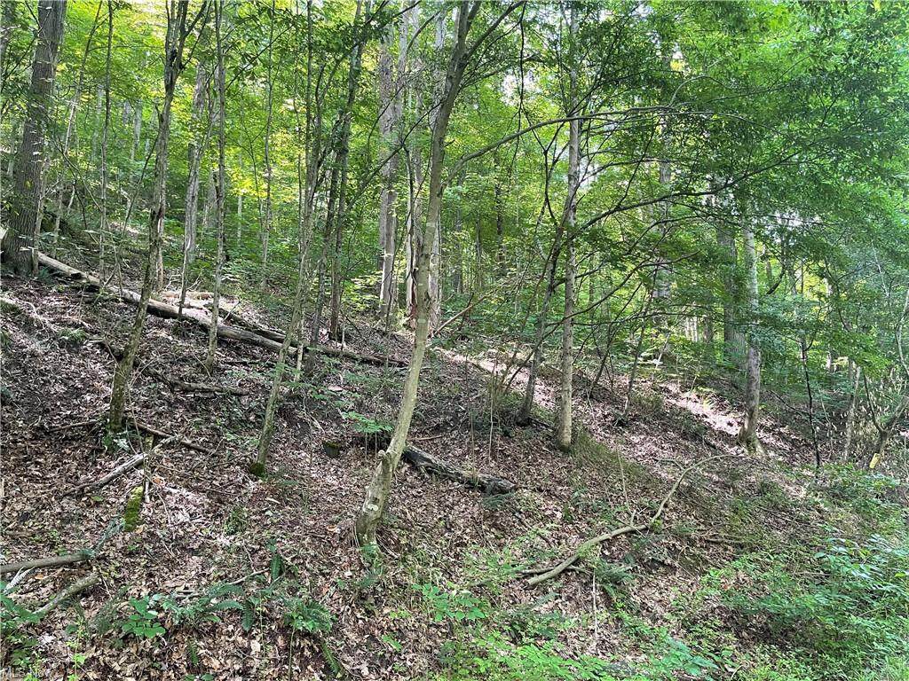 Walker Creek - Photo 1
