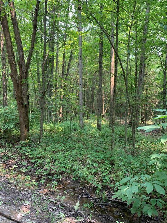 10006 Martin Road - Photo 1