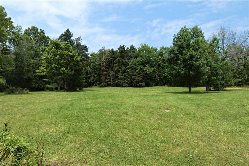 239 Garfield Road - Photo 1