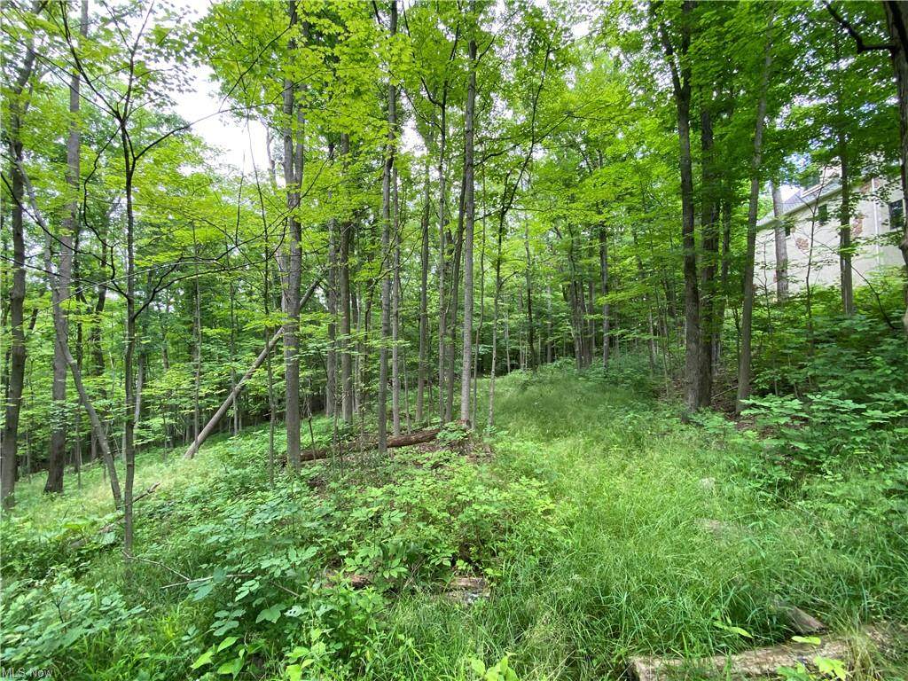 Argyll Drive - Photo 1