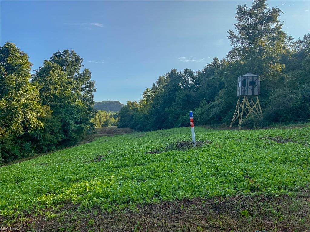 0 Woodyard Road - Photo 1