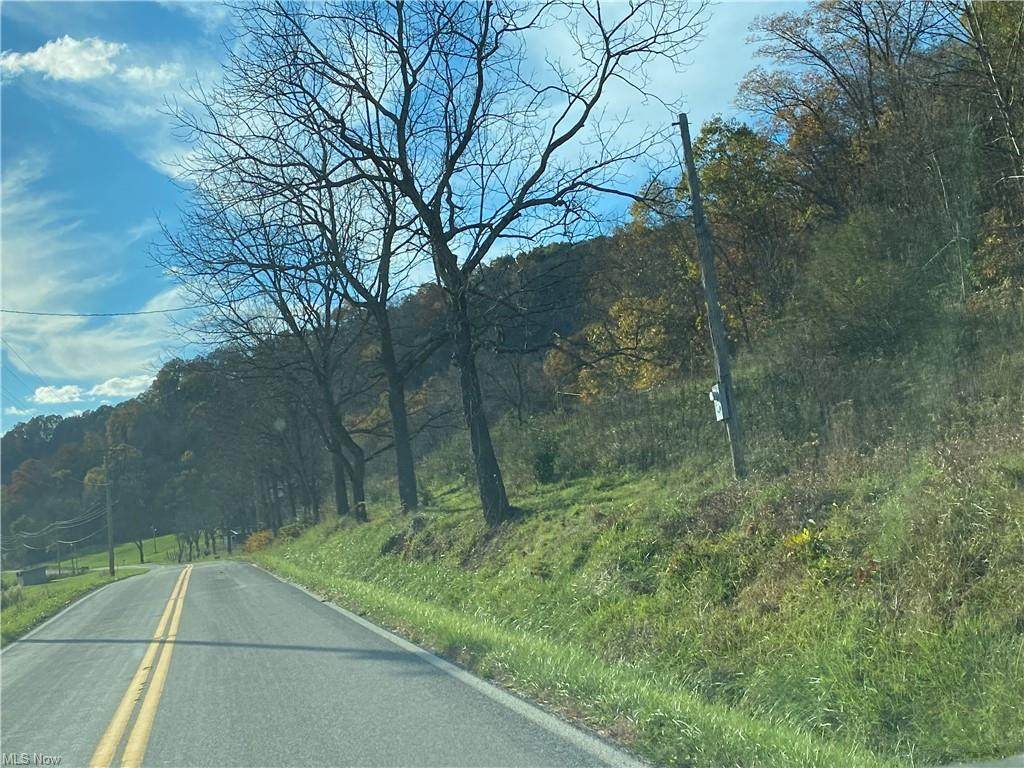 Harriettsville Road - Photo 1