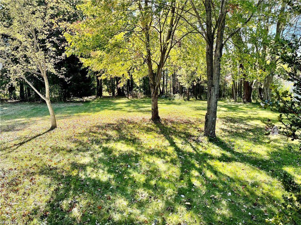 Parkview Avenue - Photo 1