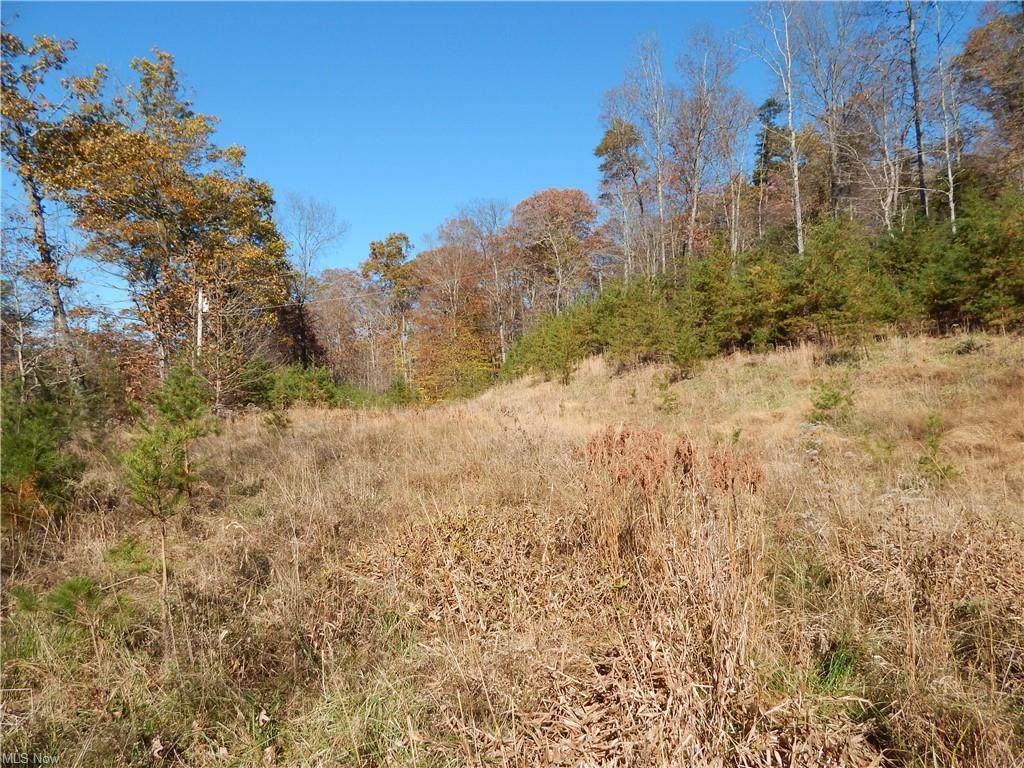 0 Smithville Rd - Photo 1