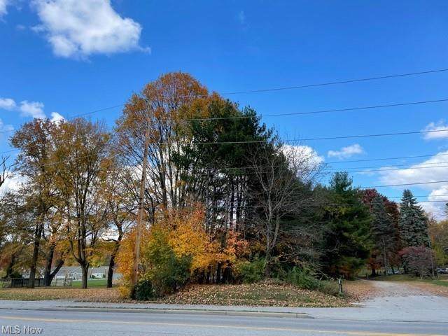 V/L Norton Road - Photo 1