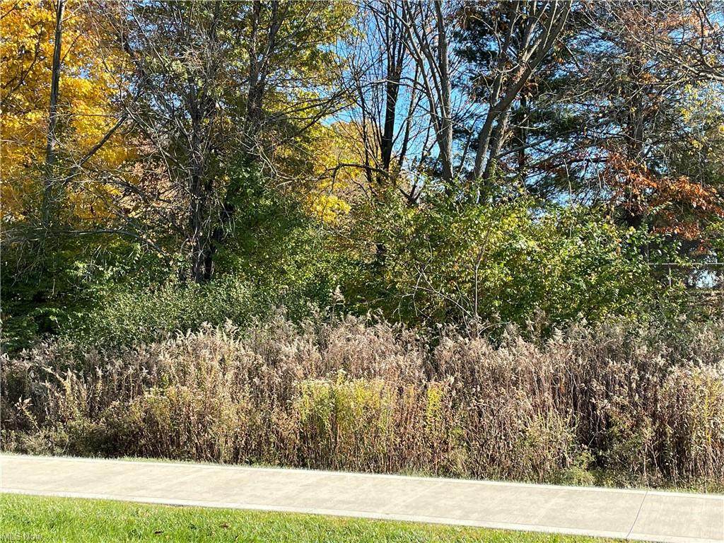 V/L Lawnmark Drive - Photo 1