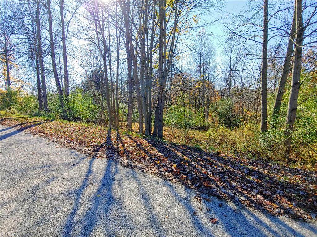 Flawil Drive - Photo 1