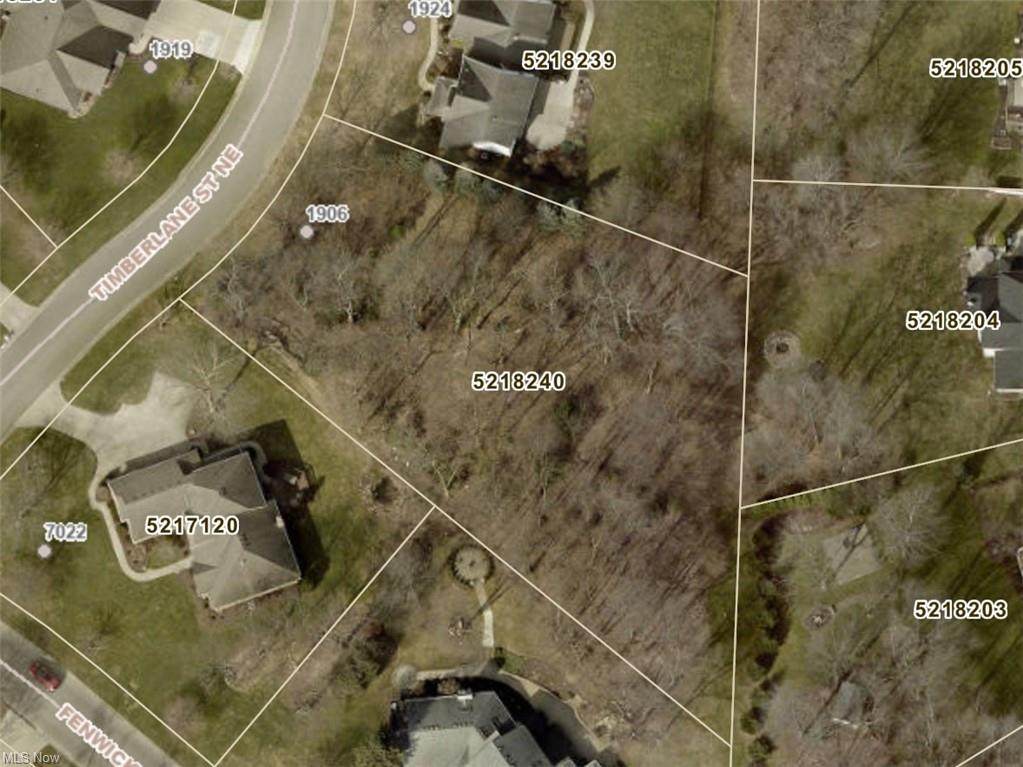 Timberlane Street - Photo 1