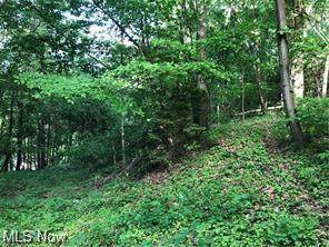 Buena Vista Drive - Photo 1