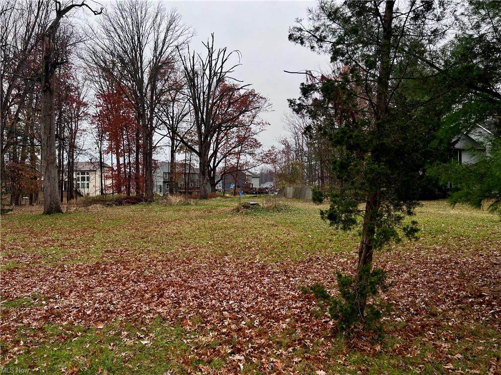38665 Wood Road - Photo 1