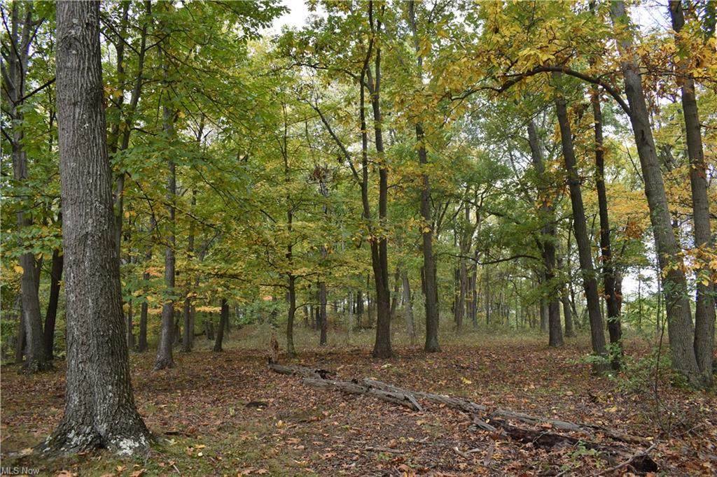 Burkhart Road - Photo 1