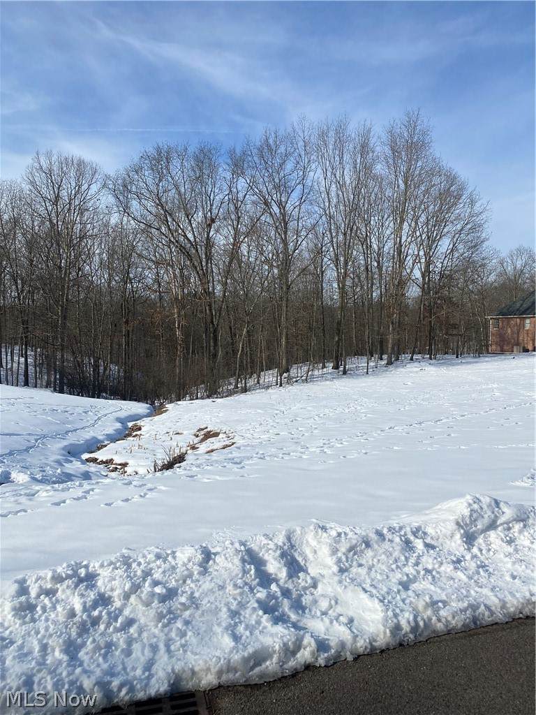 27 Lewis Pointe Drive - Photo 1