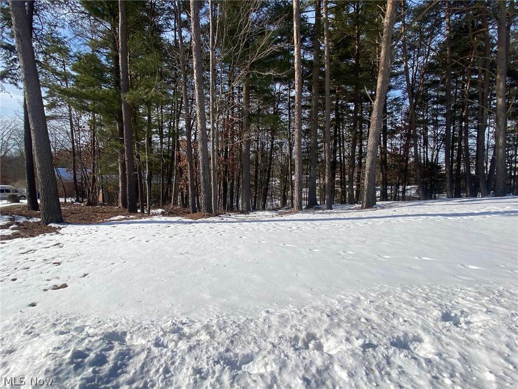 37 Lewis Pointe Drive - Photo 1