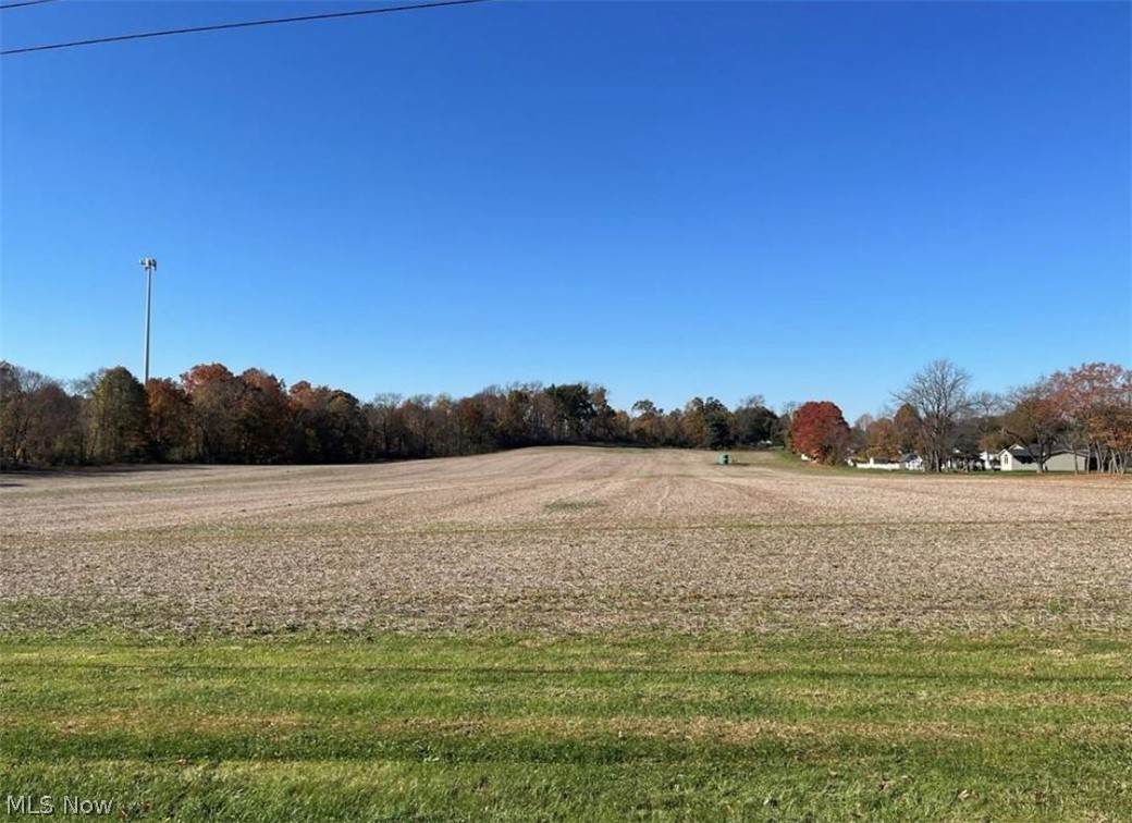 2.4 ac Arlington Avenue - Photo 1