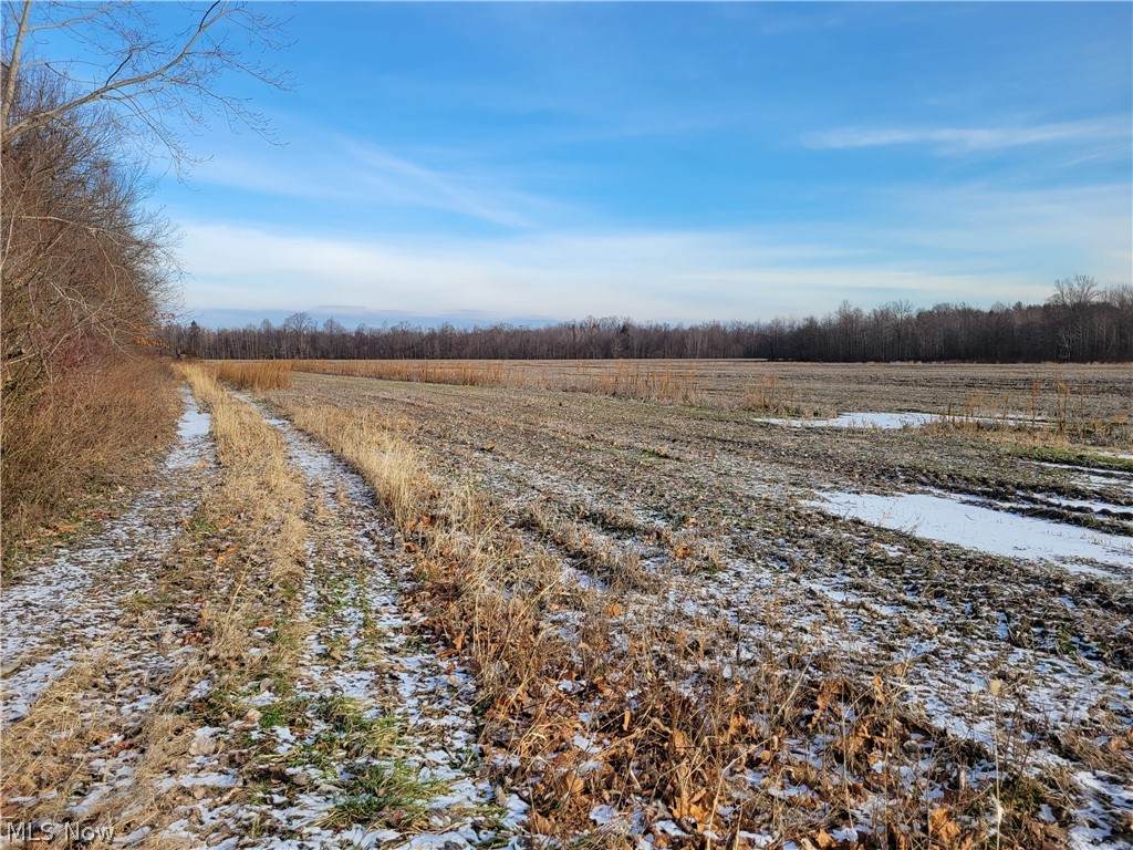 Creek Road - Photo 1
